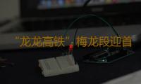 “龙龙高铁”梅龙段迎首个旅行团 尝鲜广州 
