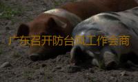 广东召开防台风工作会商会议，研判台风“普拉桑”等三防形势 